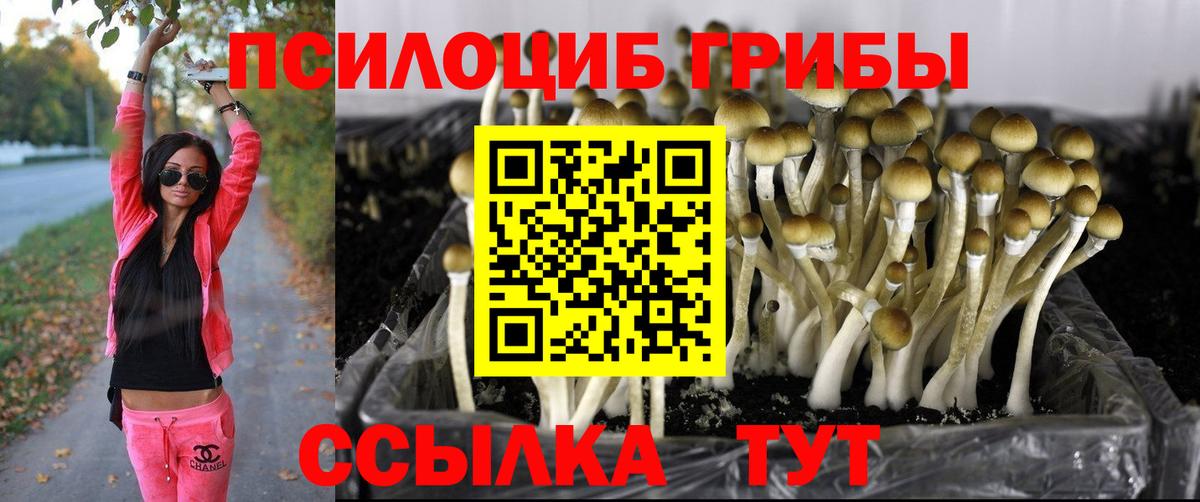 Галлюциногенные грибы Cubensis  Вход с VPN  Псилоцибиновые грибы Psilocybe  Красноярск 