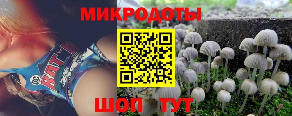 Псилоцибиновые грибы GOLDEN TEACHER Красноярск